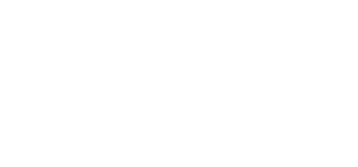 Brushflux Horizontal Logo2
